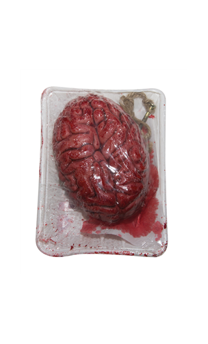 Cerveau sanglant