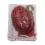Cerveau sanglant