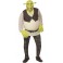 Déguisement Shrek