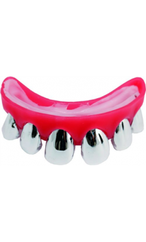 Dentier Argent