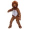 Mascotte Lion