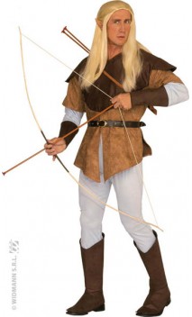 Costume Elfe