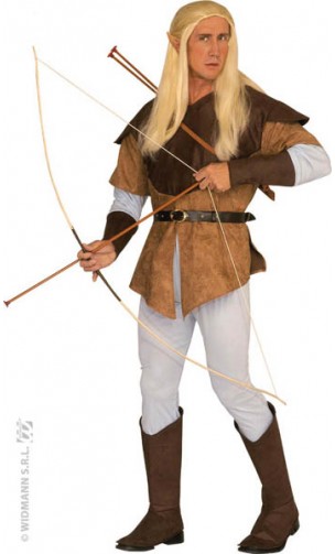 Costume Elfe