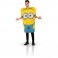 Costume Les Minions