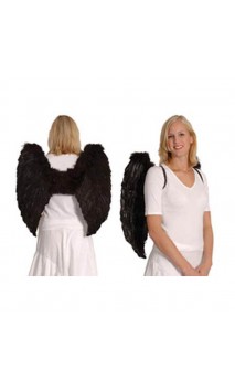 Ailes Noires 65cm