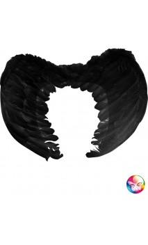 Ailes Noires 50cm