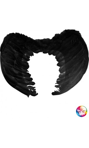 Ailes Noires 50cm