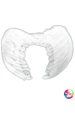 Ailes Blanche 50cm