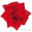 Broche Fleur Rouge Espagnol 10cm