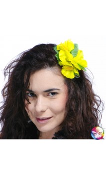 Barette Fleur Hawaï