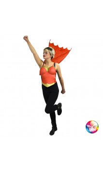 Panoplie Wonder Woman 