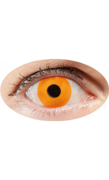 Lentilles Oeil Orange