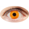 Lentilles Oeil Orange