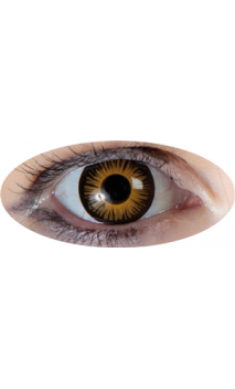 Lentilles Twilight