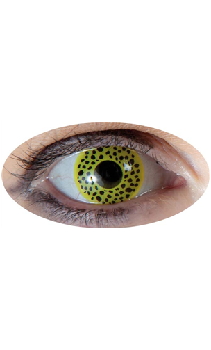 Lentilles Panthère