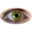 Lentilles Panthère