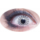 Lentilles Toile d'araignée