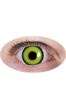 Lentilles Chapelier Fou