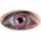Lentilles Oeil Sanglant
