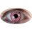Lentilles Oeil Sanglant