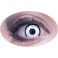Lentilles Manson Blanc