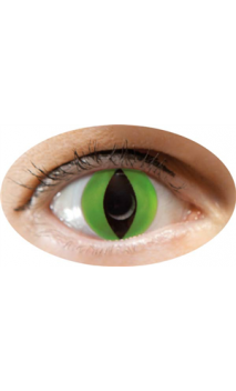 Lentilles oeil de chat vert