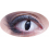 Lentilles oeil de chat blanc