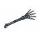 Sceptre main squelette