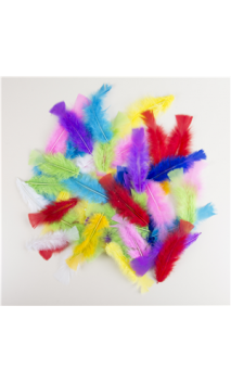 50 plumes multicolore