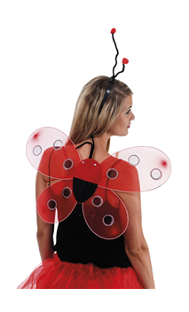 Ailes de coccinelle 48 cm