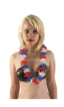 Collier fleurs bleu blanc rouge