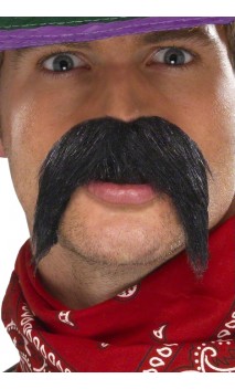 Moustache mexicain 2