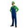 Costume Luigi