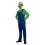 Costume Luigi