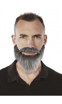 Moustache et collier barbe gris