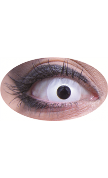 Lentilles Blanc 