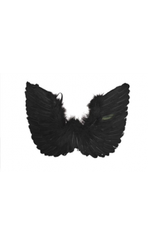 Ailes Noire 48cm