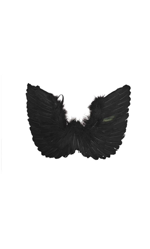 Ailes Noire 48cm