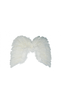 Ailes Blanc 48cm