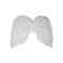 Ailes Blanc 48cm