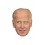 Masque carton Joe Biden