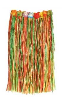Jupe Hawaïenne multicolore 