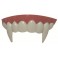 Dentier Vampire