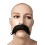 Moustache Dandy 1900