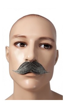 Moustache gentleman gris