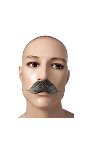 Moustache gentleman gris
