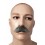 Moustache gentleman gris