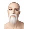 Moustache chinois blanc
