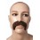 Moustache 1900 marron