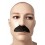 Moustache Dupont noir